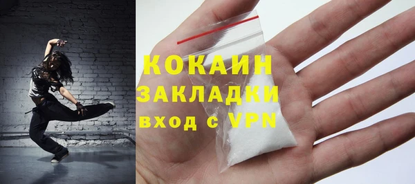индика Арсеньев