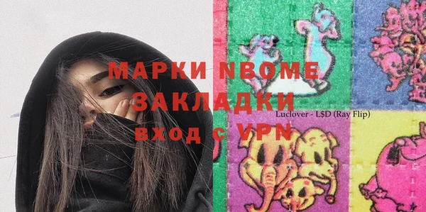 индика Арсеньев