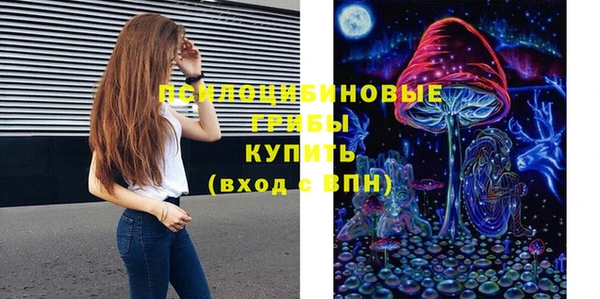 индика Арсеньев