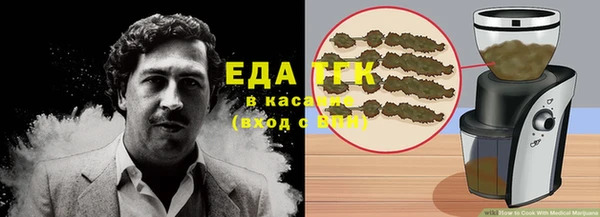 индика Арсеньев