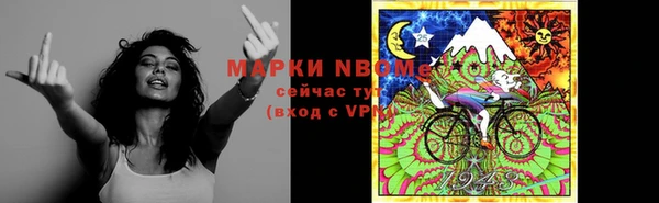индика Арсеньев