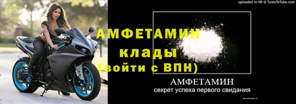 индика Арсеньев