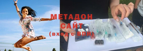 индика Арсеньев