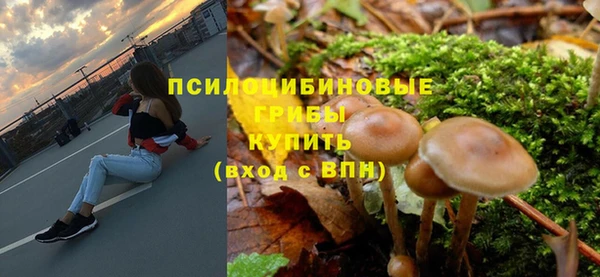 индика Арсеньев