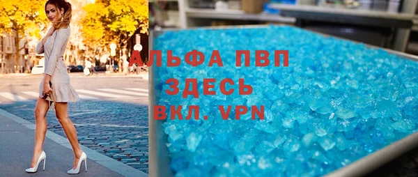индика Арсеньев