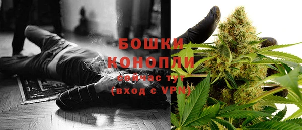 индика Арсеньев