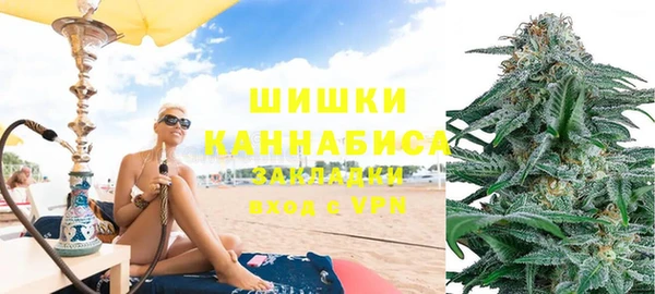 индика Арсеньев