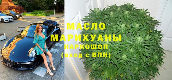 индика Арсеньев