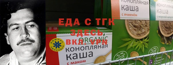 индика Арсеньев