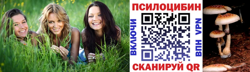 Псилоцибиновые грибы GOLDEN TEACHER  Сельцо 